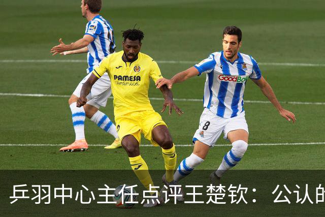 乒羽中心主任点评王楚钦：公认的天才，上限很高，但下限也很低，引发球迷热议