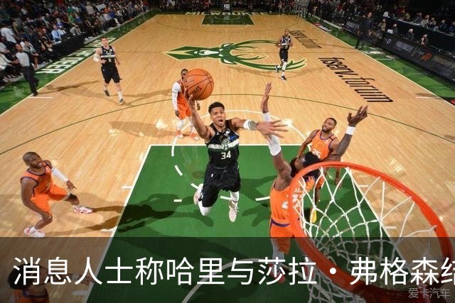 消息人士称哈里与莎拉·弗格森结成"秘密同盟"